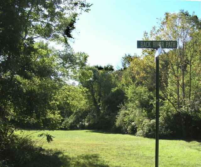 Grassy Field Along Back River Path
